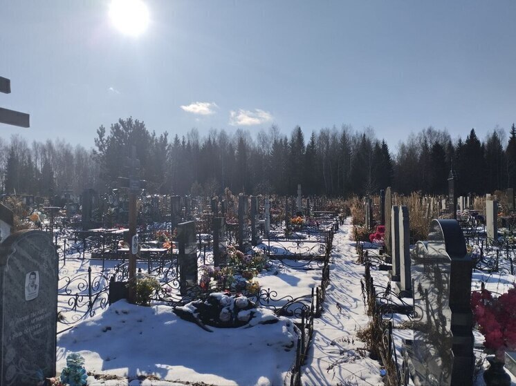 Одно из городских кладбищ в Костромской области обросло мусорными свалками