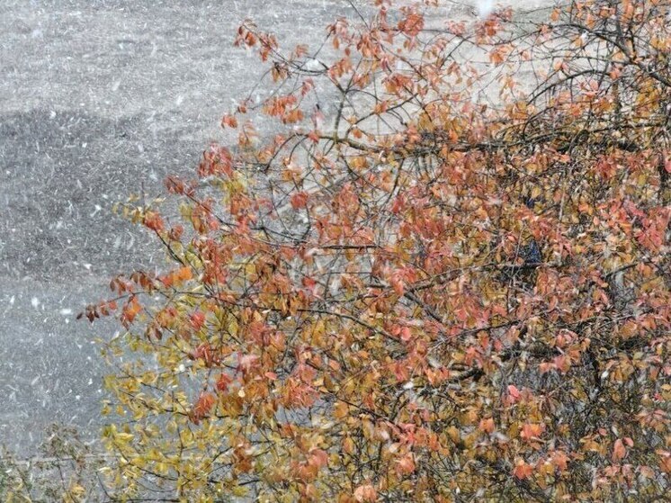 Уходим в "минус": какая погода ждет жителей Серпухова на выходных