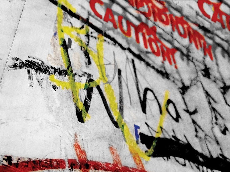 В Приморье отловили и выдворили в изолятор вандала-наркораспространителя