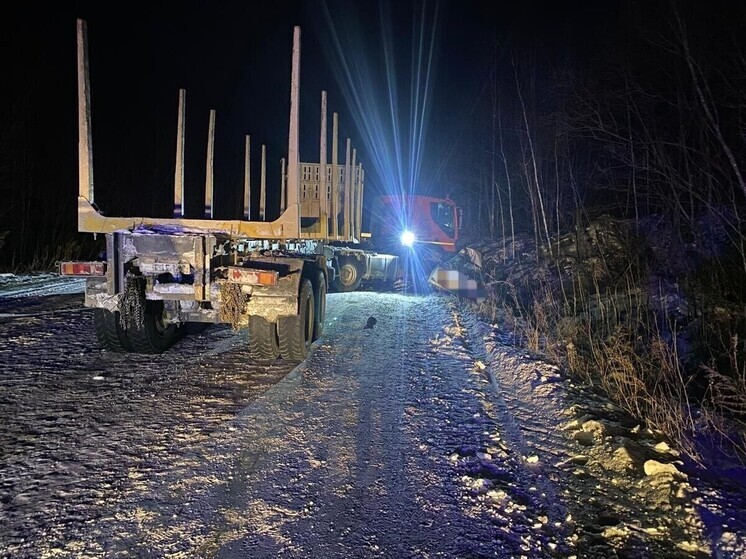 В Хабаровском крае расследуют трагическое ДТП легковушки седельного тягача