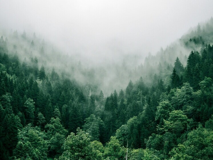 Школьница из Бурятии взяла бронзу на всероссийском конкурсе «Шаг в будущее, Юниор»