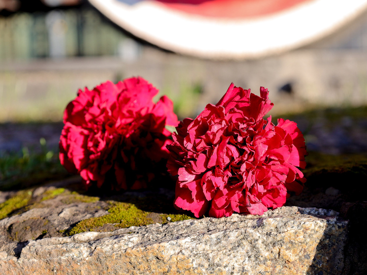 Девочку 5-ти лет, найденную мертвой в диване в Челябинске, тайно похоронили в Башкирии