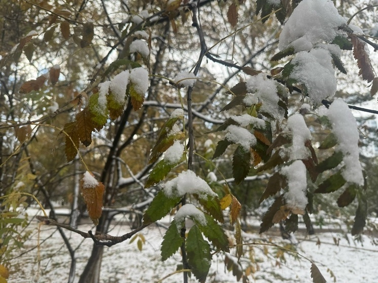 Следующая рабочая неделя на Сахалине может начаться с метели