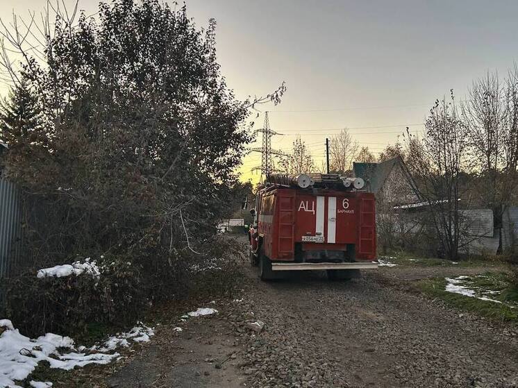 В Алтайском крае из-за неисправного оборудования загорелся бункер с семенами подсолнуха