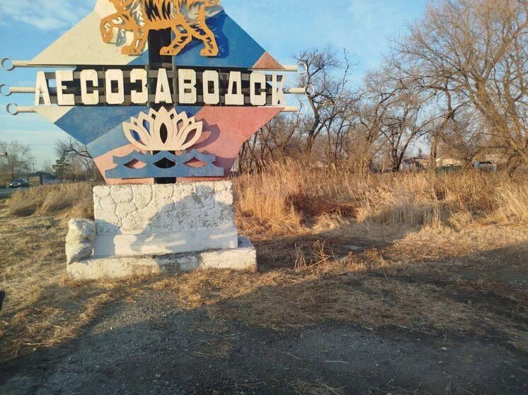 Лесозаводский округ Приморья подвел предварительные итоги санитарной уборки