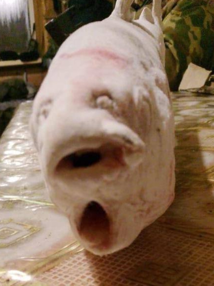 В Абыйском районе поймали «двуротого» чира