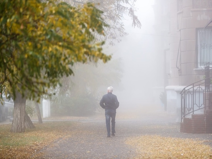 В Астраханской области 15 ноября прогнозируются туман и до +12℃