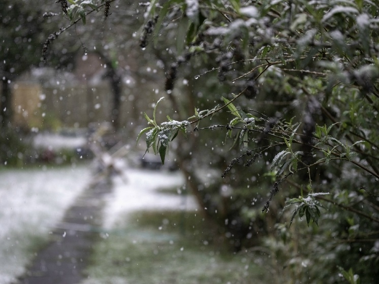 Снег с дождём и 0°C прогнозируют синоптики в Нижнем 15 ноября