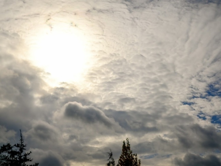 В Волгоградской области 15 ноября наблюдаются слабые геомагнитные возмущения