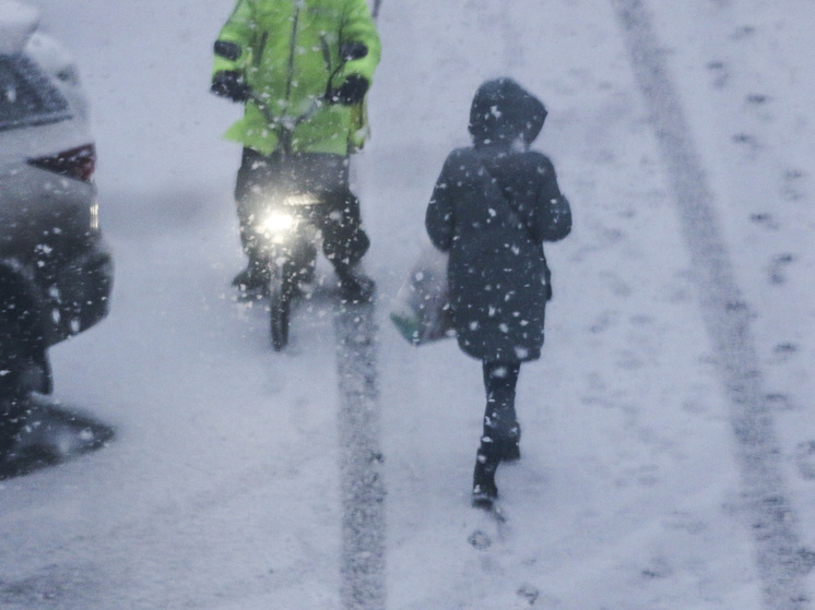 Вильфанд: в Москве в субботу выпадет около 30% месячной нормы осадков, ляжет временный снежный покров
