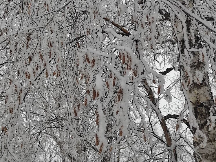 Снег продолжится в Чите 16 ноября