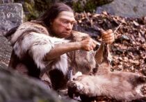 Ученые долго размышляли о том, что стало причиной гибели неандертальцев, но новое исследование предполагает, что они вообще никогда не вымирали