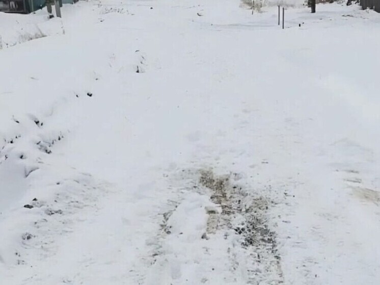 Снежные заносы в Бакчарском районе ликвидированы после вмешательства прокуратуры