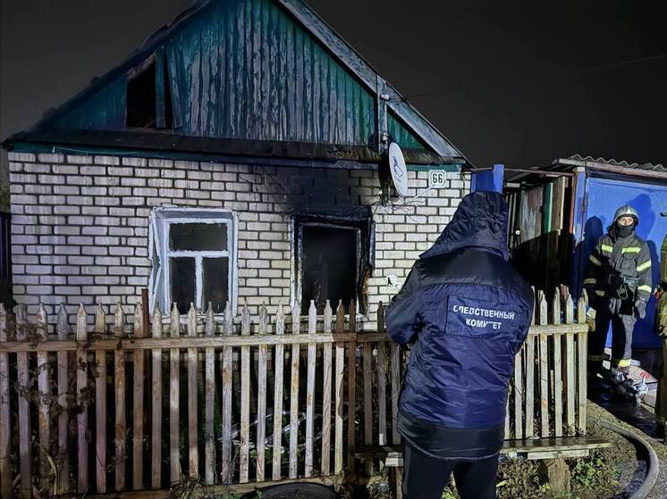 На пожаре в Ершове погибли двое взрослых и двое детей