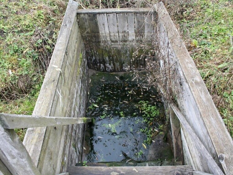 В курском миприроды прокомментировали обмеление реки Кур