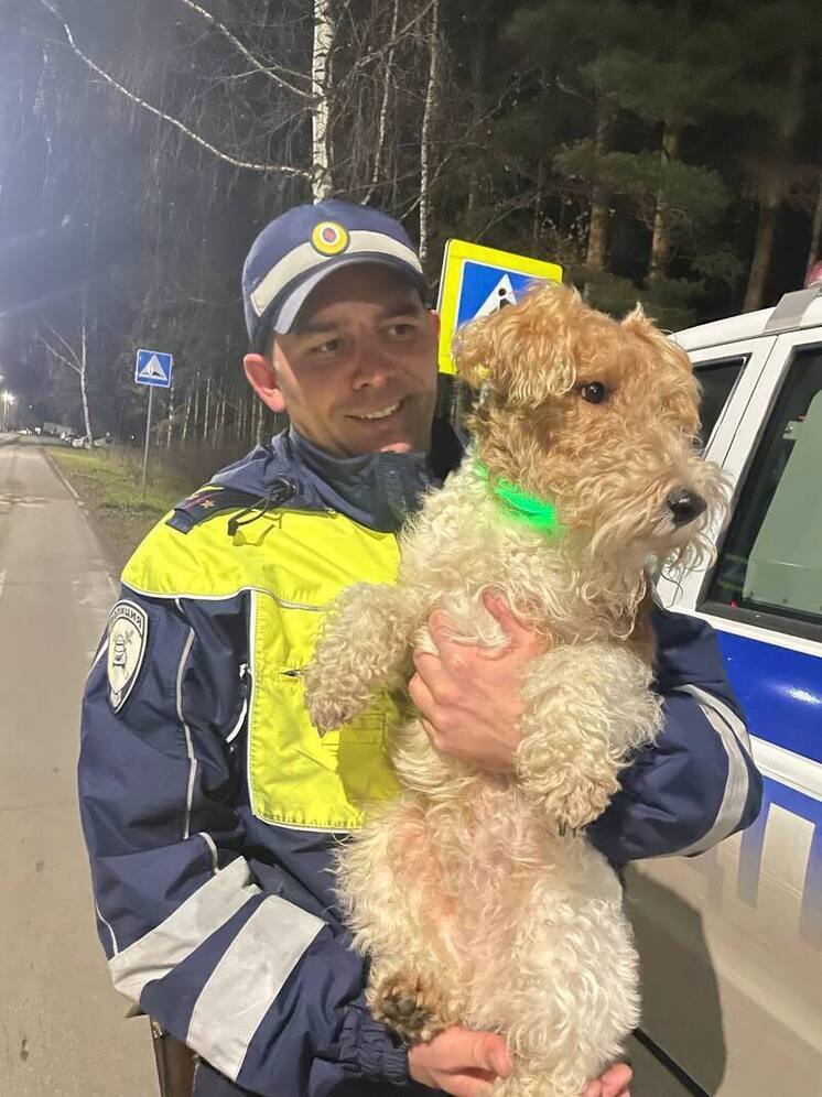 В Трёхгорном полицейские помогли местной жительнице вернуть пропавшую собаку