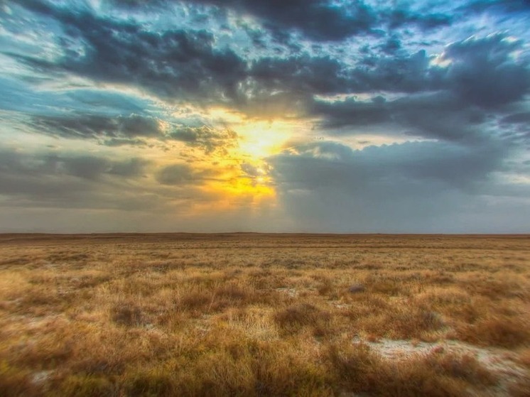 Какая завтра примета укажет на хороший урожай в Калмыкии