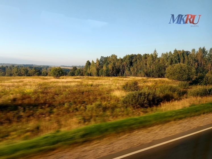 В Калужской области убрали еще один скотомогильник