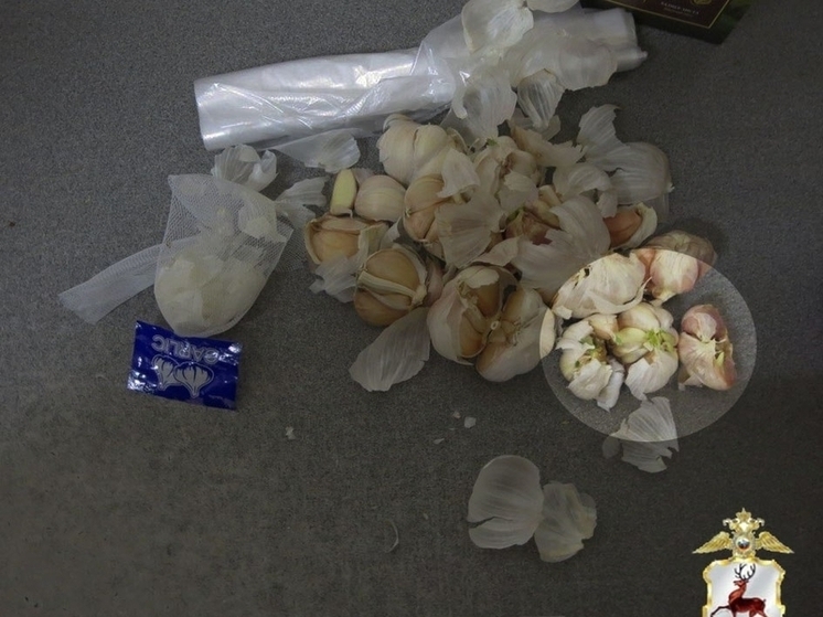 Преступная изобретательность: наркотики в чесноке нашли полицейские