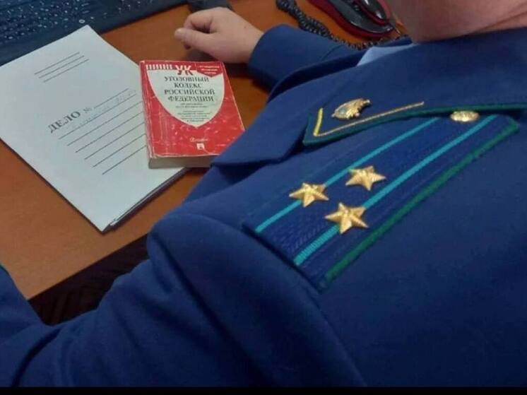 В Козловке перед судом предстанет 61-летняя женщина, обвиняемая в убийстве