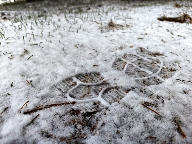 Петербуржцев попросили надеть рукавички перед выходом на улицу