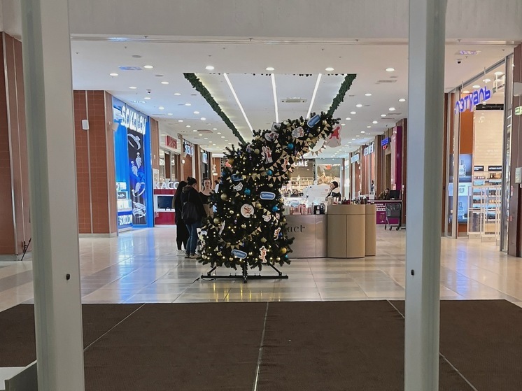В Саратовских торговых центрах установили наряженные новогодние елки