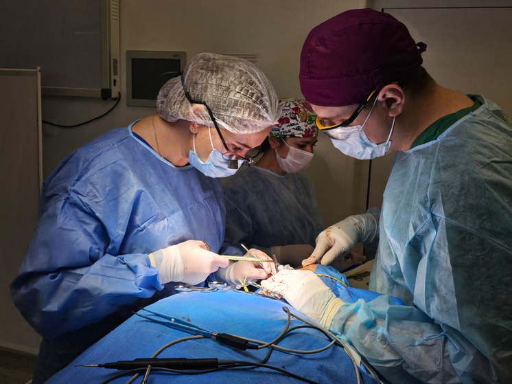 Врачи отделения сосудистой хирургии Республиканской клинической больницы имени Н. А. Семашко в Симферополе выполнили сложную операцию по удалению большой аневризмы сонной артерии у 71-летней женщины