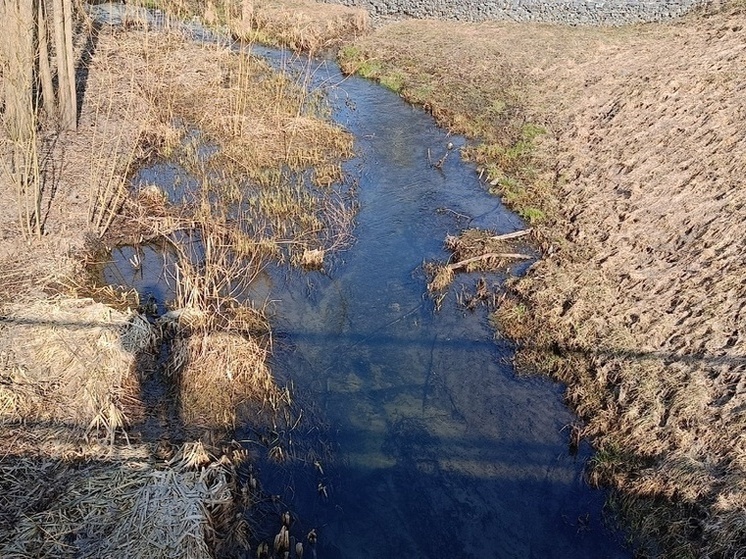 Береговая линия реки Северский Донец в ЛНР услана минами