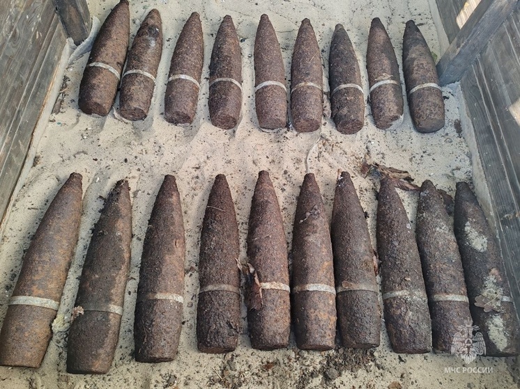 В лесу белгородского поселка Комсомольский нашли 19 боеприпасов