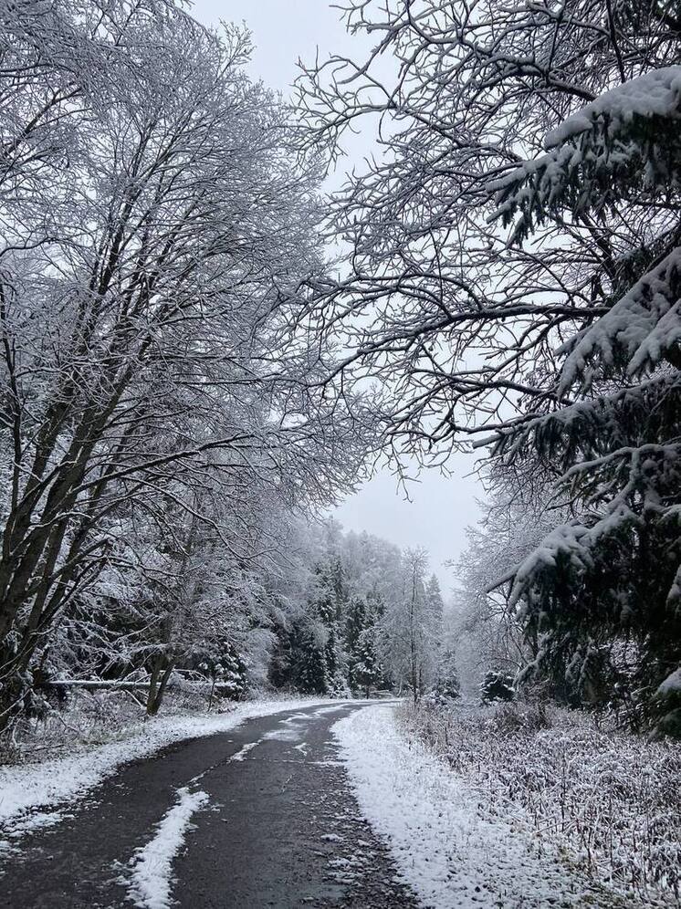Синоптик Сафонов сообщил, что москвичей в выходные ждет похолодание и снег