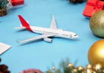 Самые длинные в новейшей российской истории зимние каникулы не за горами, но все больше россиян отказываются от использования целых 12 дней отдыха для поездок