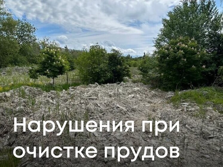 Нарушения при очистке прудов в Новороссийске привели к ущербу на 8 миллионов рублей