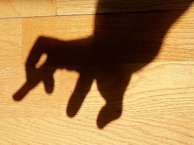 В Энгельсе за "просмотр своего фото" со счёта пенсионерки пропало 76 тысяч