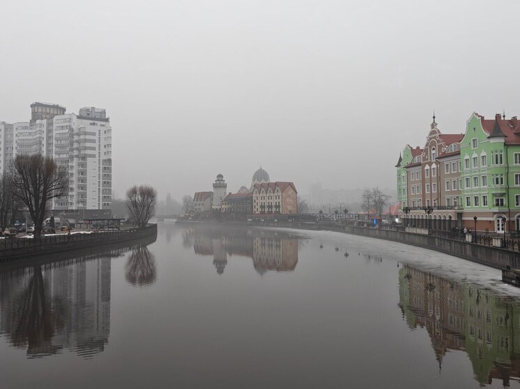 Калининградцев предупредили о фейке про диверсантов