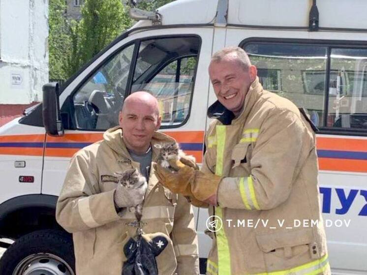 Спасатель из Белгорода победил во Всероссийском конкурсе «Голос Героев»