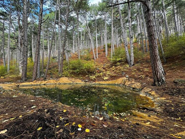 В Крыму проводят расчистку пожарных водоемов