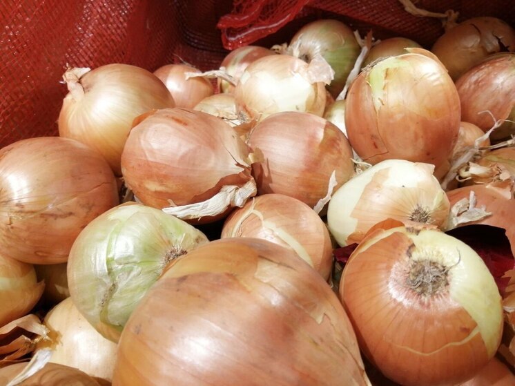 Хакасские предприниматели спрятали от проверки 65 тонн лука