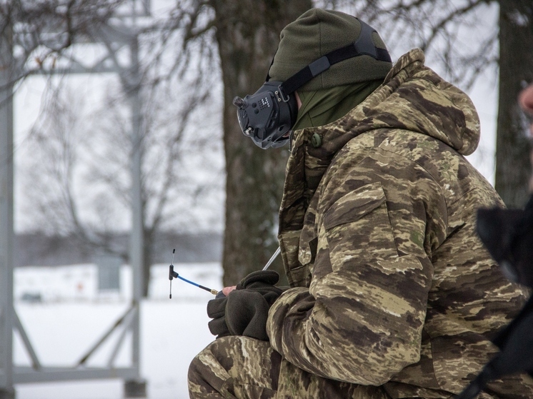 Тульская область стала лидером по доступности мер поддержки участникам СВО в МФЦ