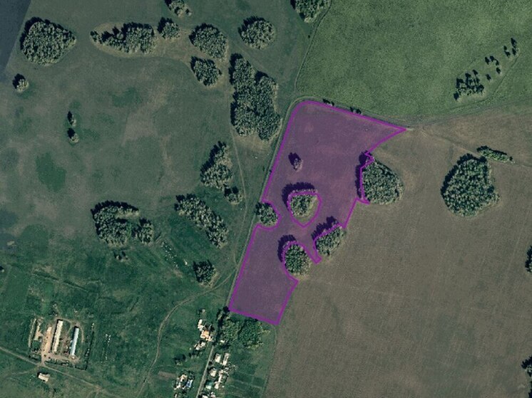 Омским аграриям предлагают в аренду новые участки в четырёх районах региона