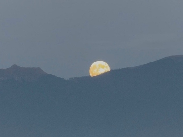Сахалинский «Горный воздух» победил в одной из номинаций национальной премии