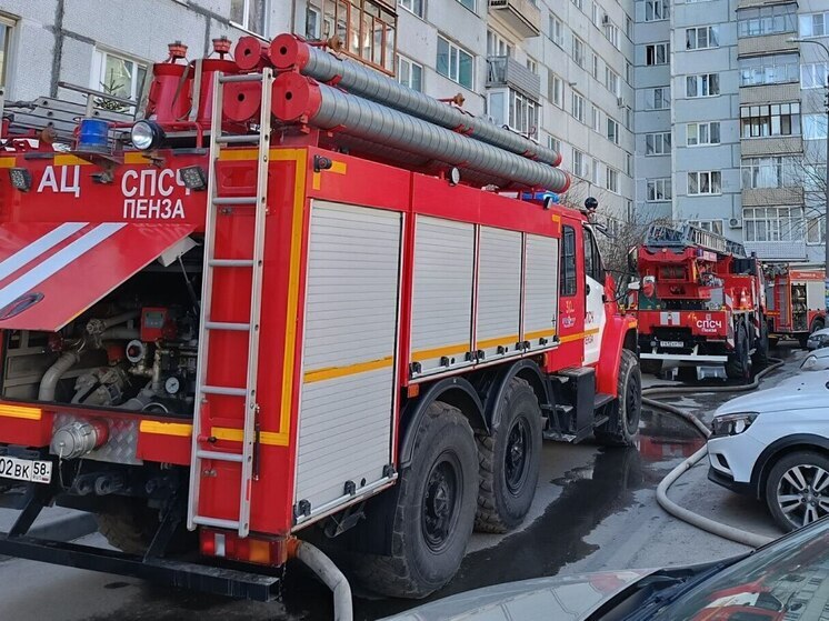 В Пензе на Суходольном проезде произошел пожар с двумя погибшими
