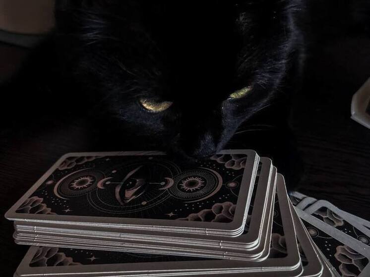 Абаканка выкупила у гадалки защиту от всех невзгод за 400 тысяч рублей