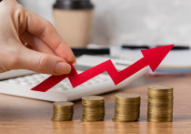 Официальных данных по инфляции за октябрь от Росстата и профессиональные экономисты, и заинтересованная общественность ждали не без волнения