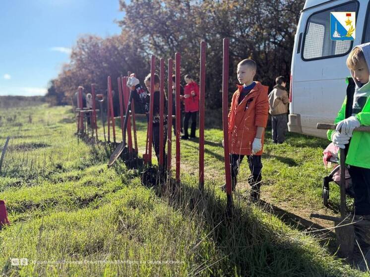 В Мекензиевском лесничестве Севастополя высадили три тысячи деревьев