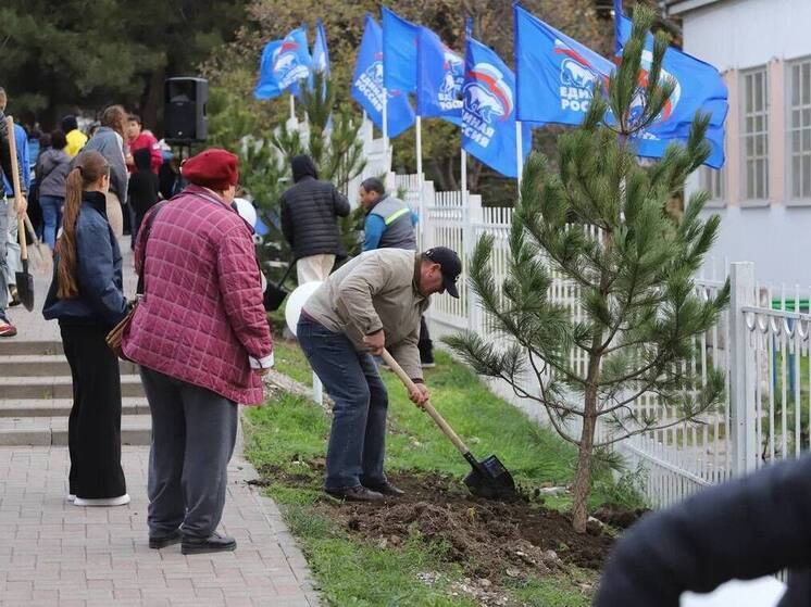 Проект «Дерево нашей семьи» стартовал в Геленджике
