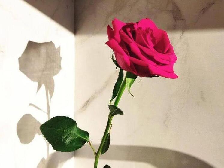 Омич потратил чужие деньги на букет роз для жены