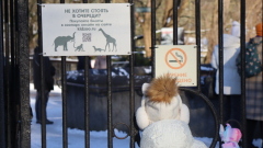 Как зимуют обитатели калининградского зоопарка