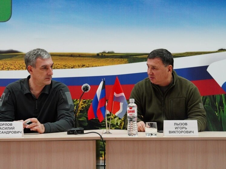 Амурская область и Амвросиевский округ утвердили программу восстановления на 2026 год