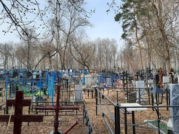 Тамбов выделил 3 миллиона на приведение в порядок городских кладбищ