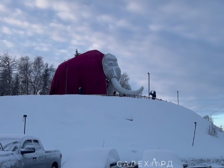 Салехардский мамонт Митя традиционно нарядился в шубу Деда Мороза